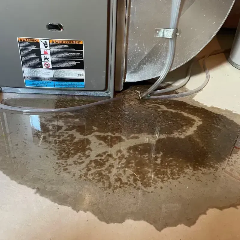 Appliance Leak Cleanup in Upper Fruitland, NM